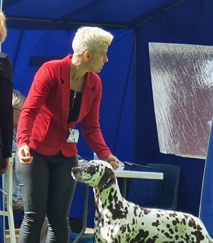 SE UCH DK UCH Spotdogs Global Girl HD B BAER +/+  2  Nordiska cert 7 R-cert 1 R-cacib   Mh-beskriven BPH 
Mamma till Vikingskullen 2019 och Hårdrockskullen 2021.